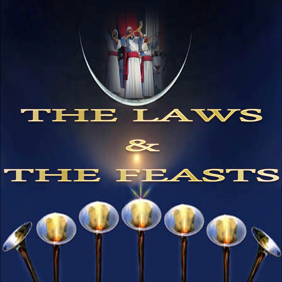 audio_laws